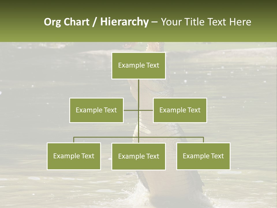 Pensioner Parent Coast PowerPoint Template