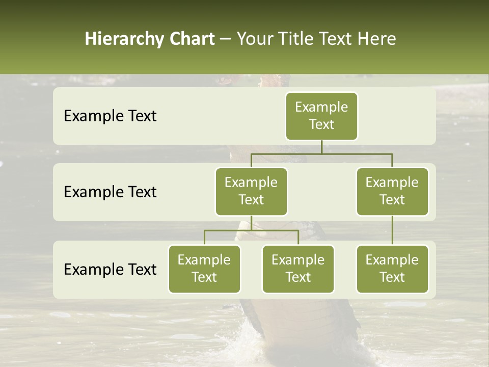 Pensioner Parent Coast PowerPoint Template