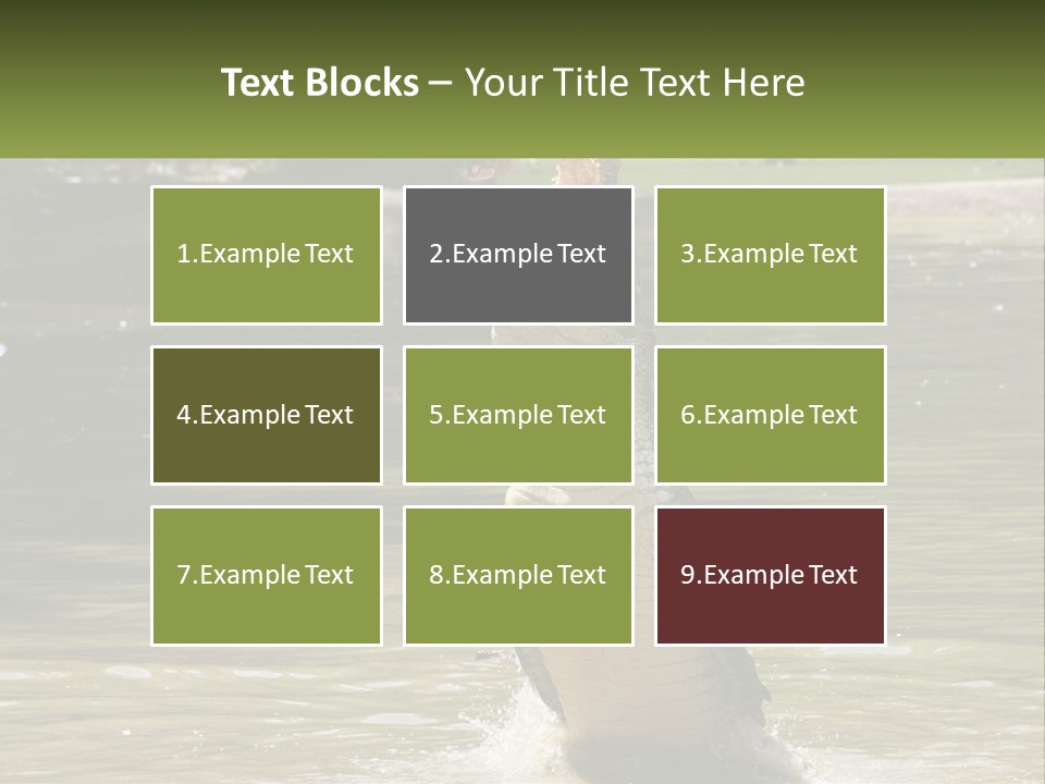 Pensioner Parent Coast PowerPoint Template