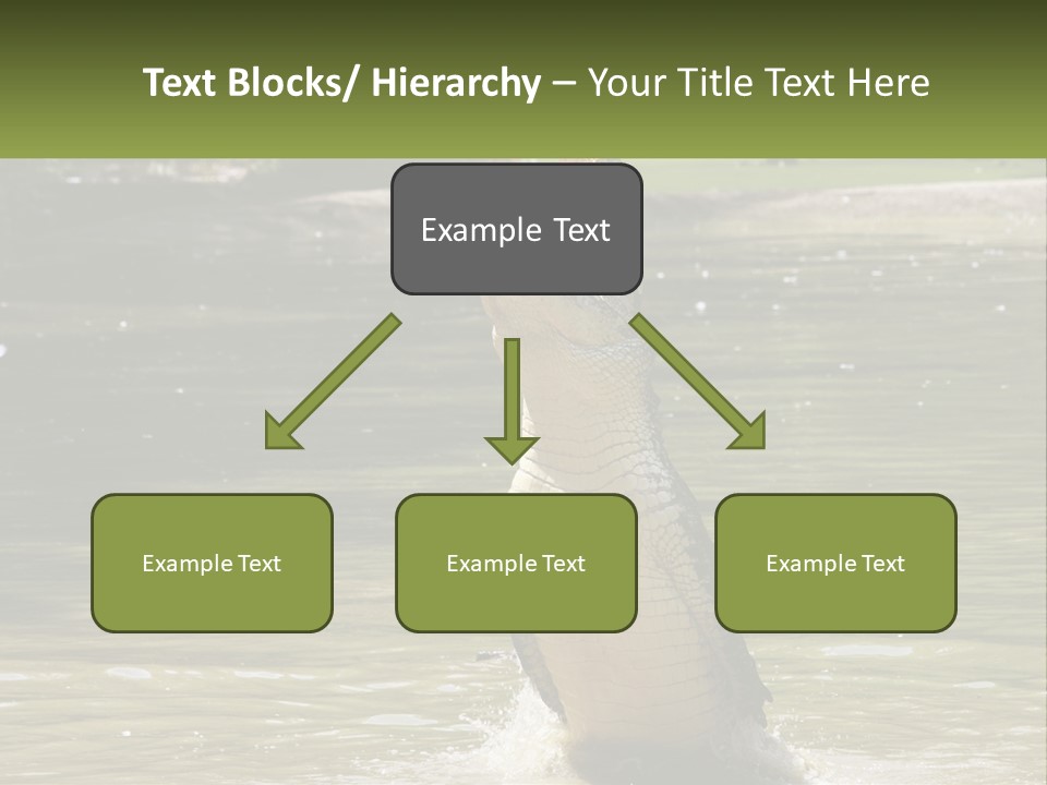 Pensioner Parent Coast PowerPoint Template
