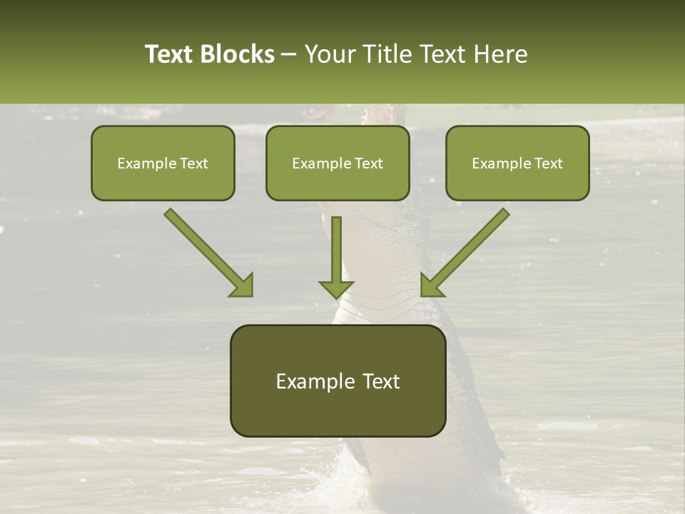 Pensioner Parent Coast PowerPoint Template