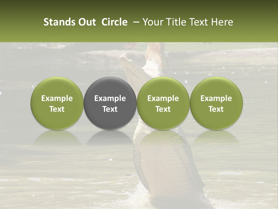 Pensioner Parent Coast PowerPoint Template