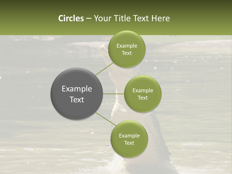 Pensioner Parent Coast PowerPoint Template