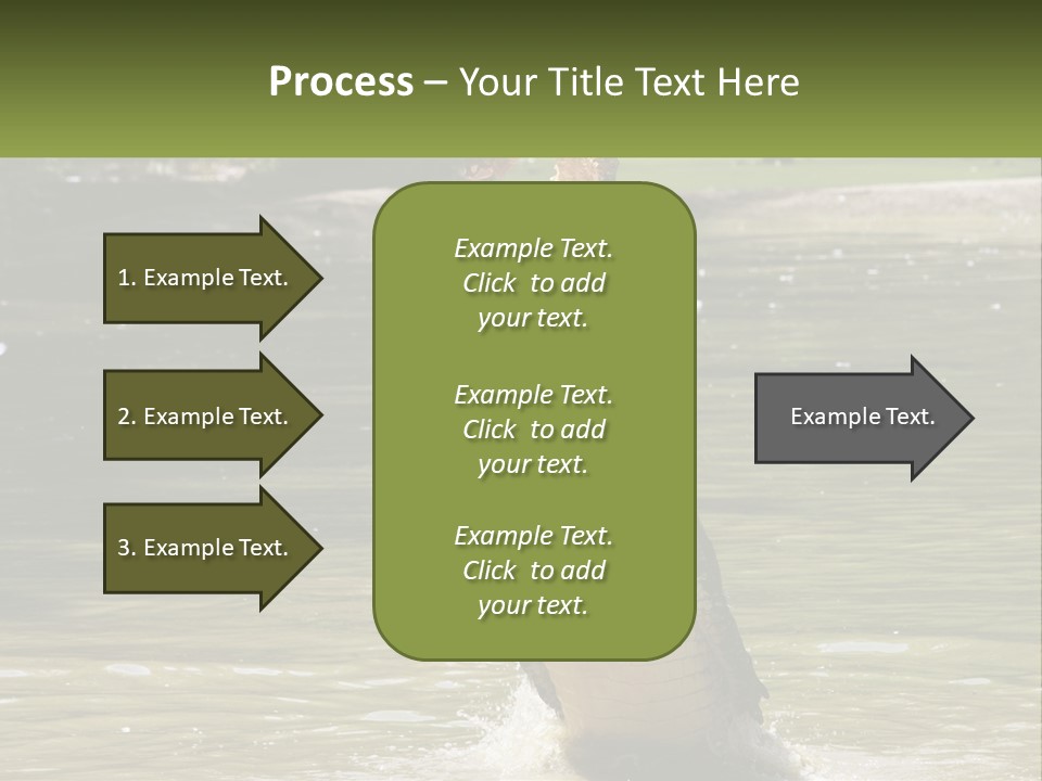 Pensioner Parent Coast PowerPoint Template