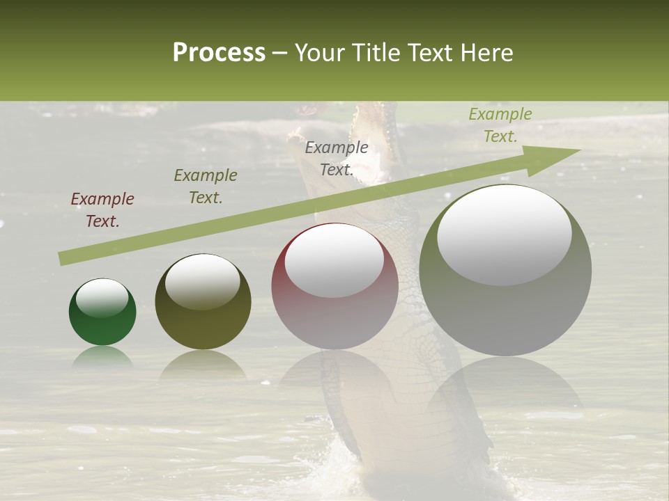 Pensioner Parent Coast PowerPoint Template