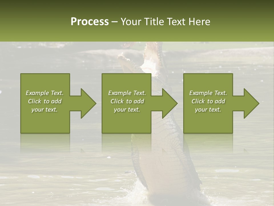 Pensioner Parent Coast PowerPoint Template