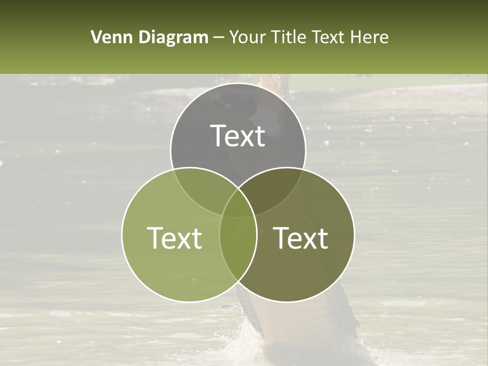 Pensioner Parent Coast PowerPoint Template