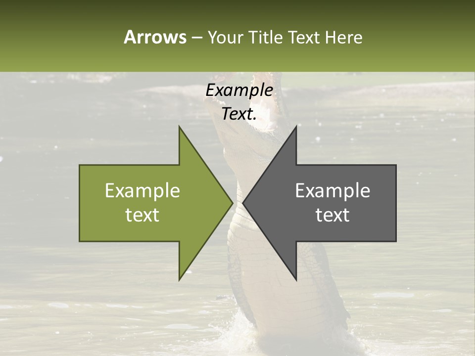 Pensioner Parent Coast PowerPoint Template