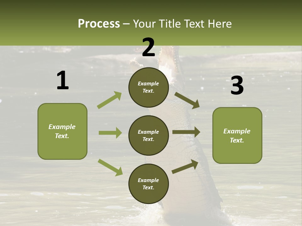 Pensioner Parent Coast PowerPoint Template