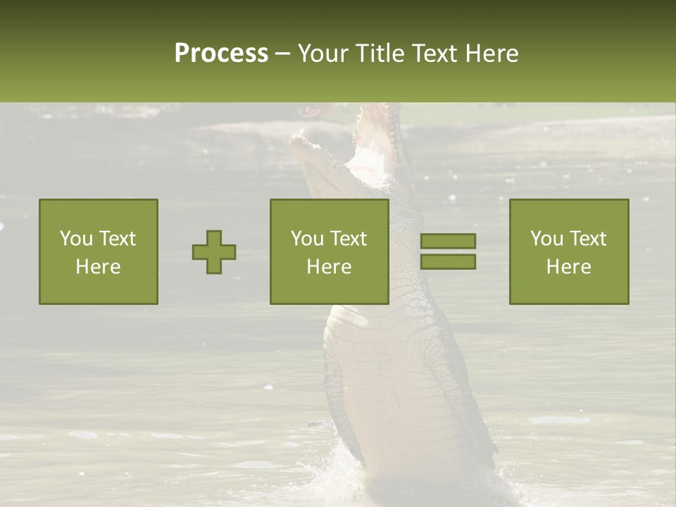 Pensioner Parent Coast PowerPoint Template