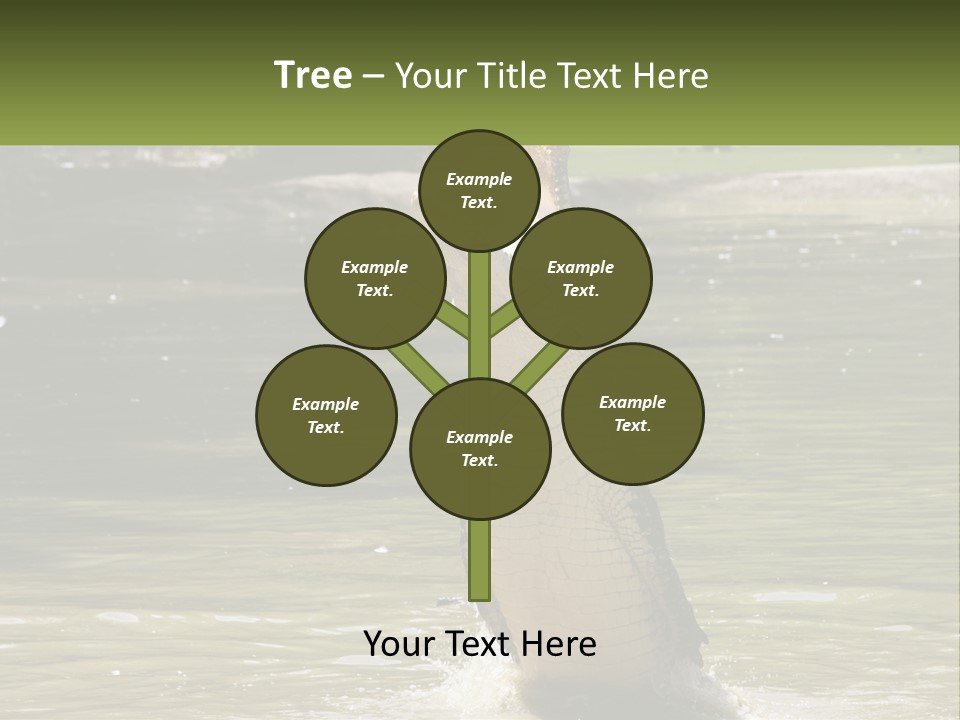 Pensioner Parent Coast PowerPoint Template