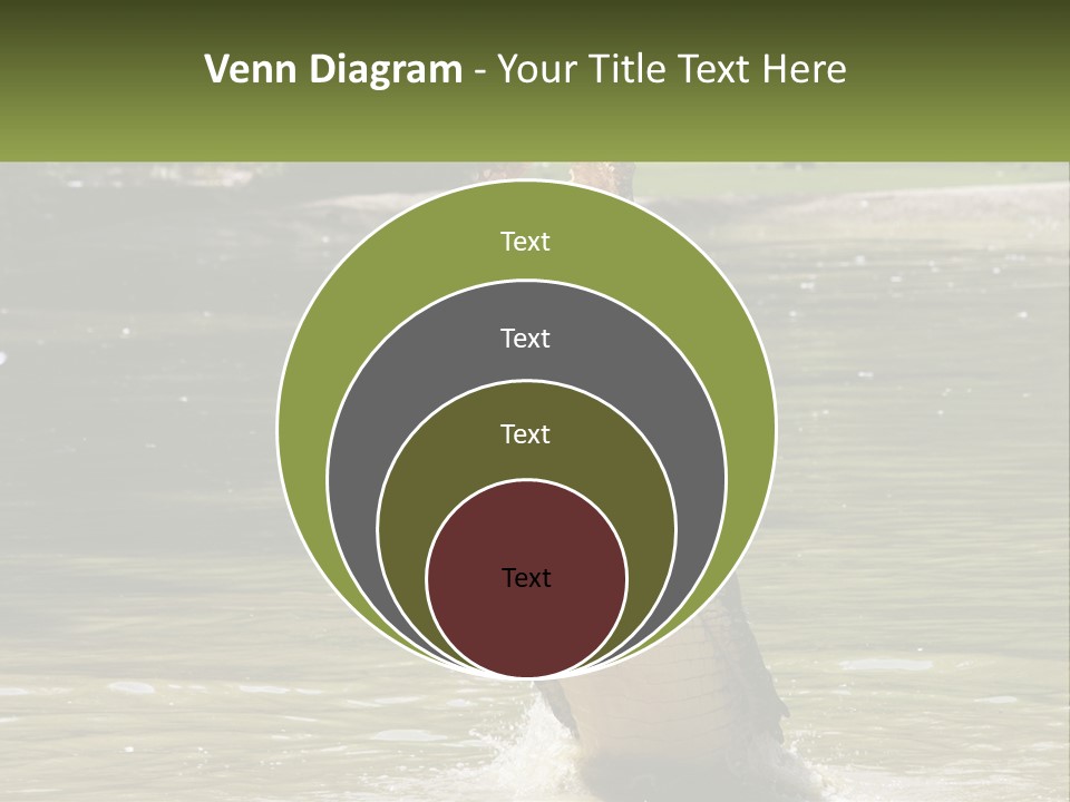 Pensioner Parent Coast PowerPoint Template