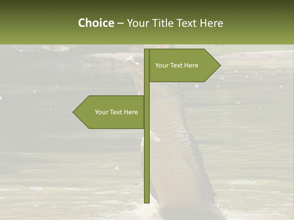 Pensioner Parent Coast PowerPoint Template