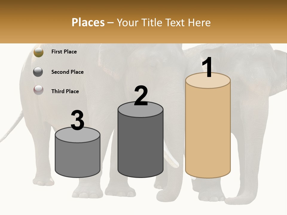 Daughter Elderly Wellness PowerPoint Template