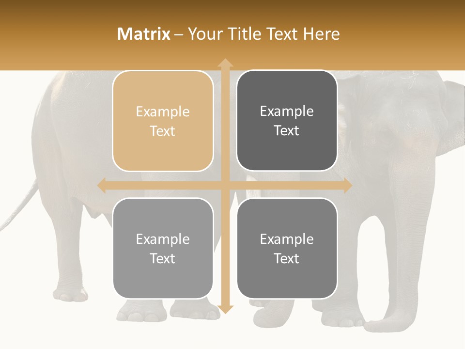 Daughter Elderly Wellness PowerPoint Template