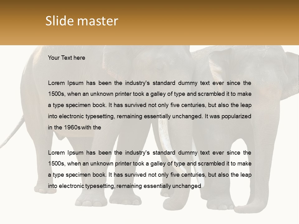 Daughter Elderly Wellness PowerPoint Template