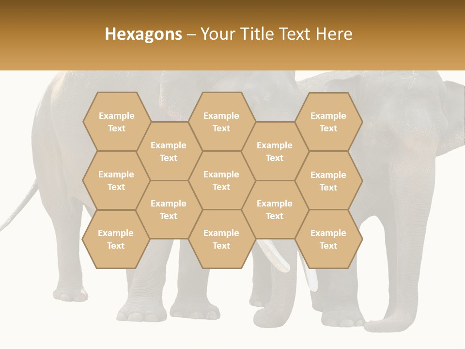 Daughter Elderly Wellness PowerPoint Template