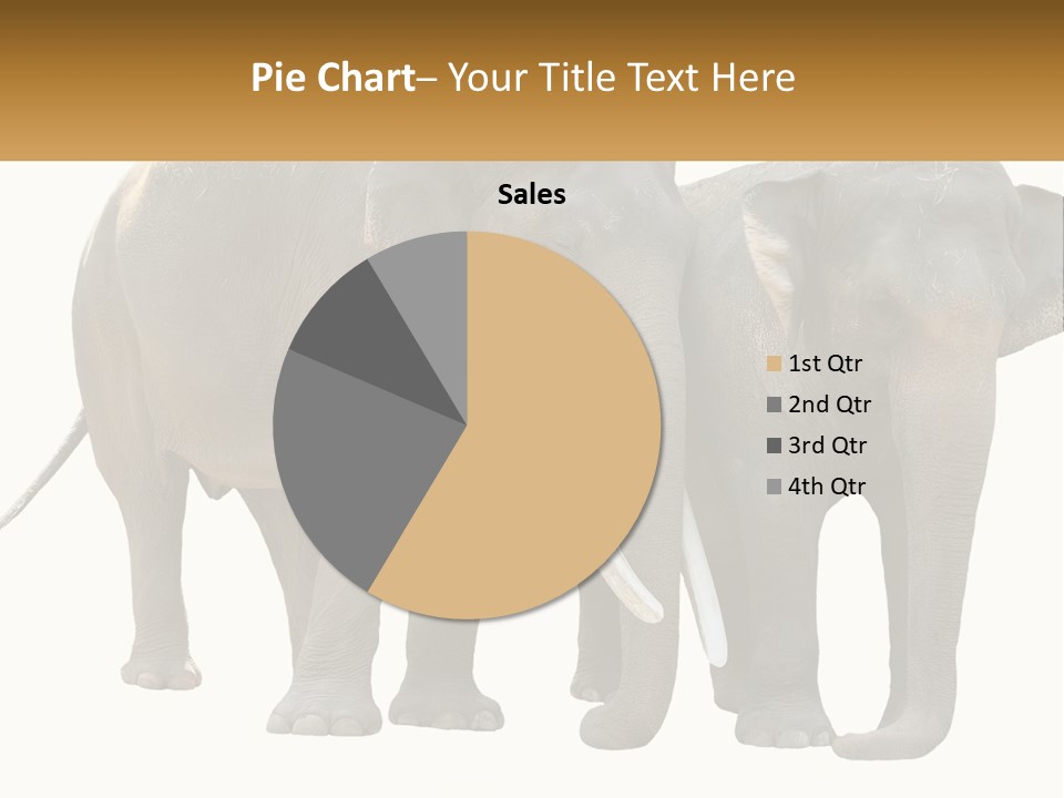 Daughter Elderly Wellness PowerPoint Template