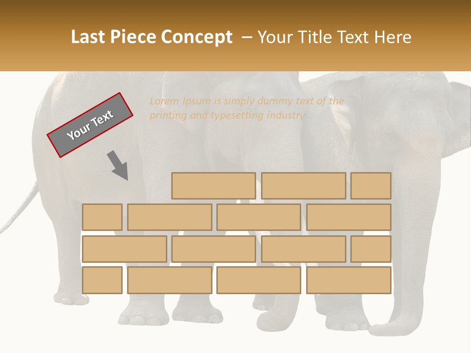 Daughter Elderly Wellness PowerPoint Template