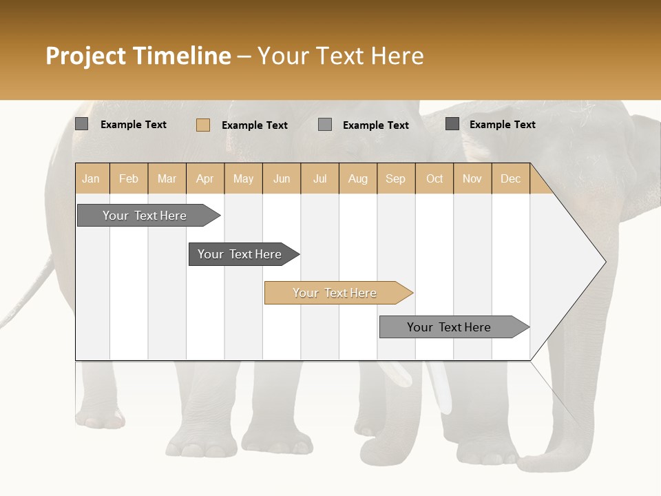 Daughter Elderly Wellness PowerPoint Template