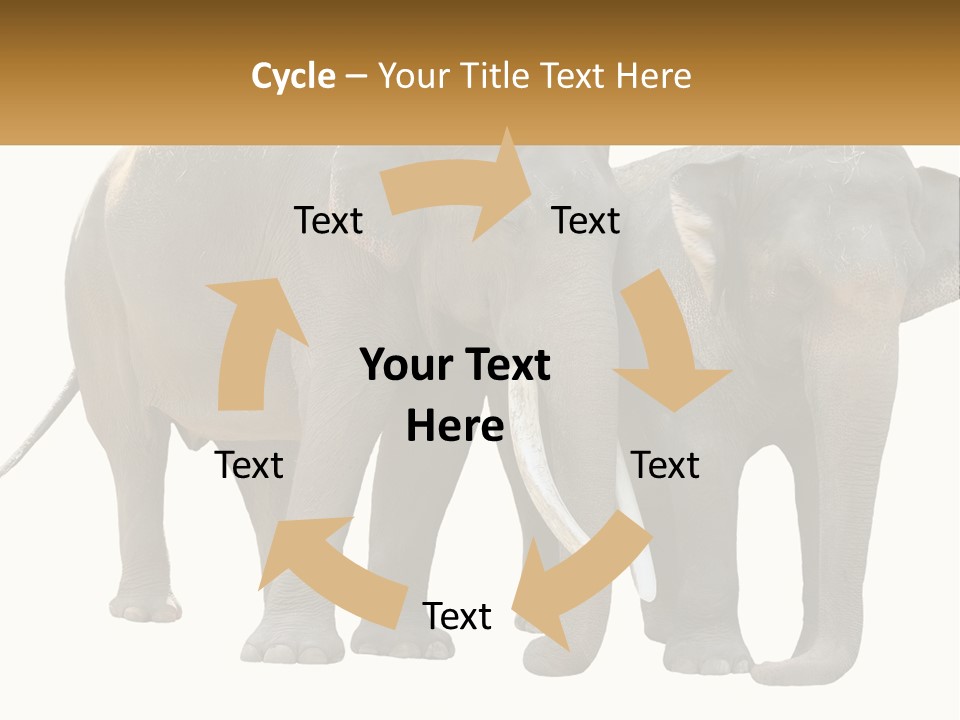 Daughter Elderly Wellness PowerPoint Template