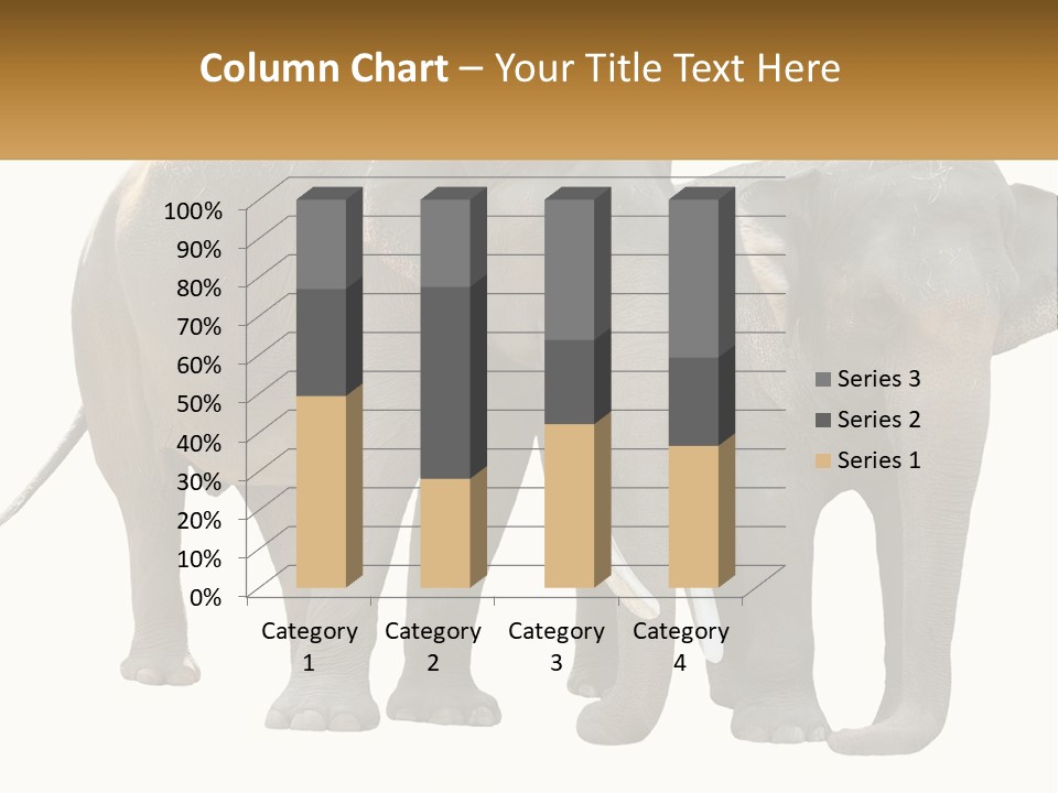 Daughter Elderly Wellness PowerPoint Template