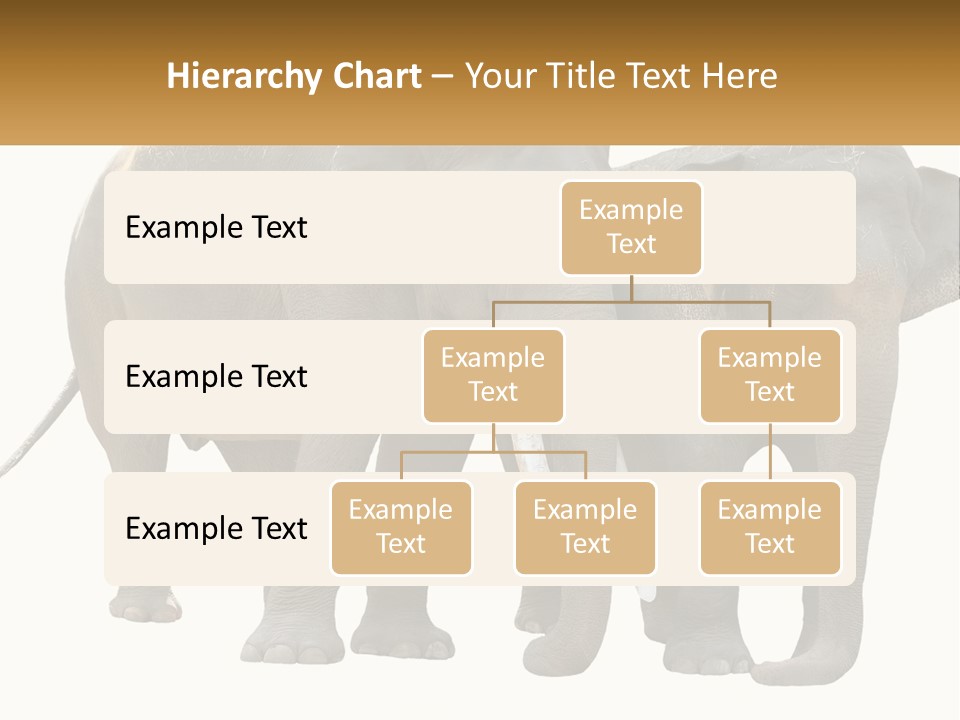 Daughter Elderly Wellness PowerPoint Template