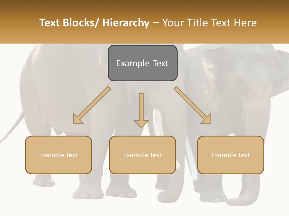 Daughter Elderly Wellness PowerPoint Template