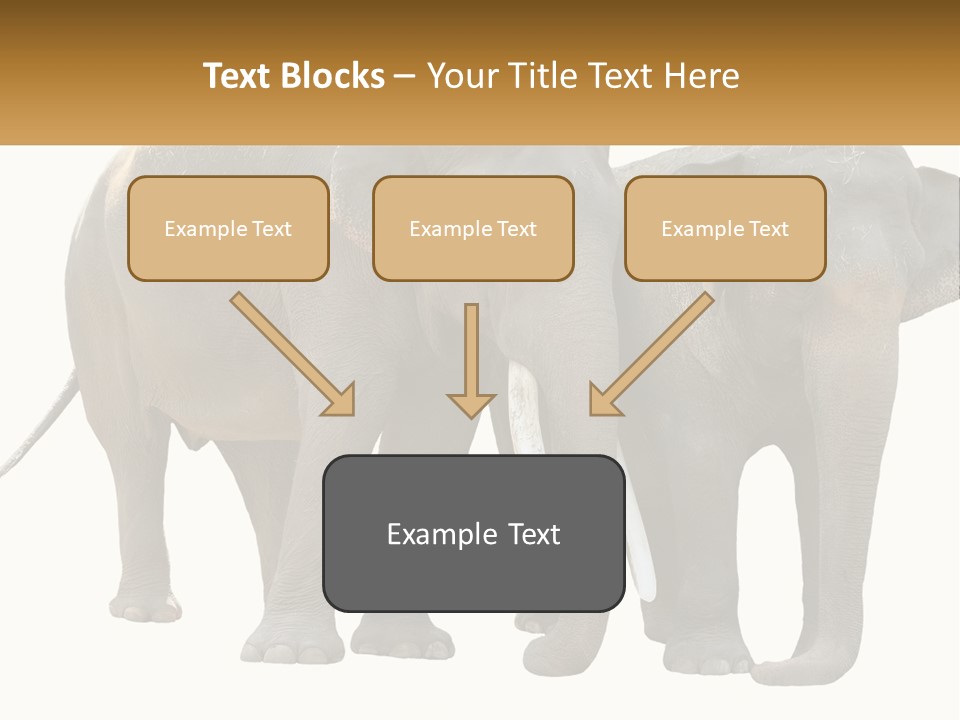 Daughter Elderly Wellness PowerPoint Template