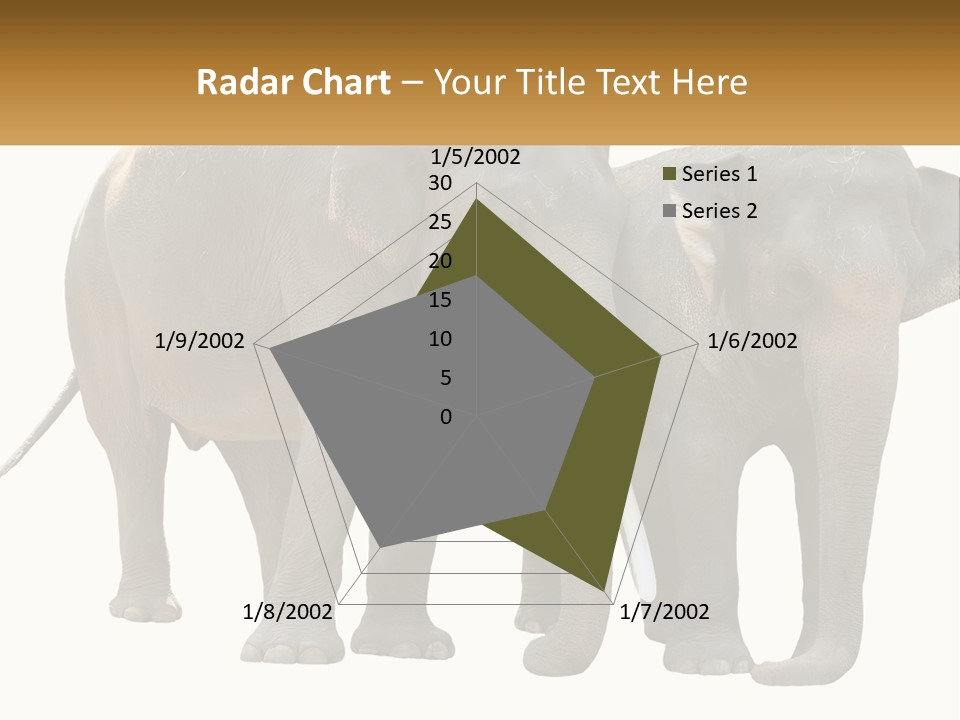 Daughter Elderly Wellness PowerPoint Template