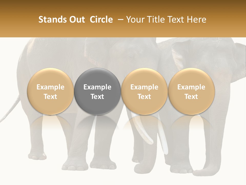 Daughter Elderly Wellness PowerPoint Template