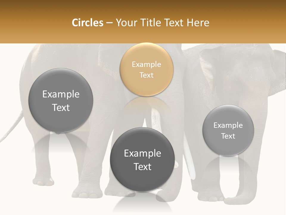 Daughter Elderly Wellness PowerPoint Template