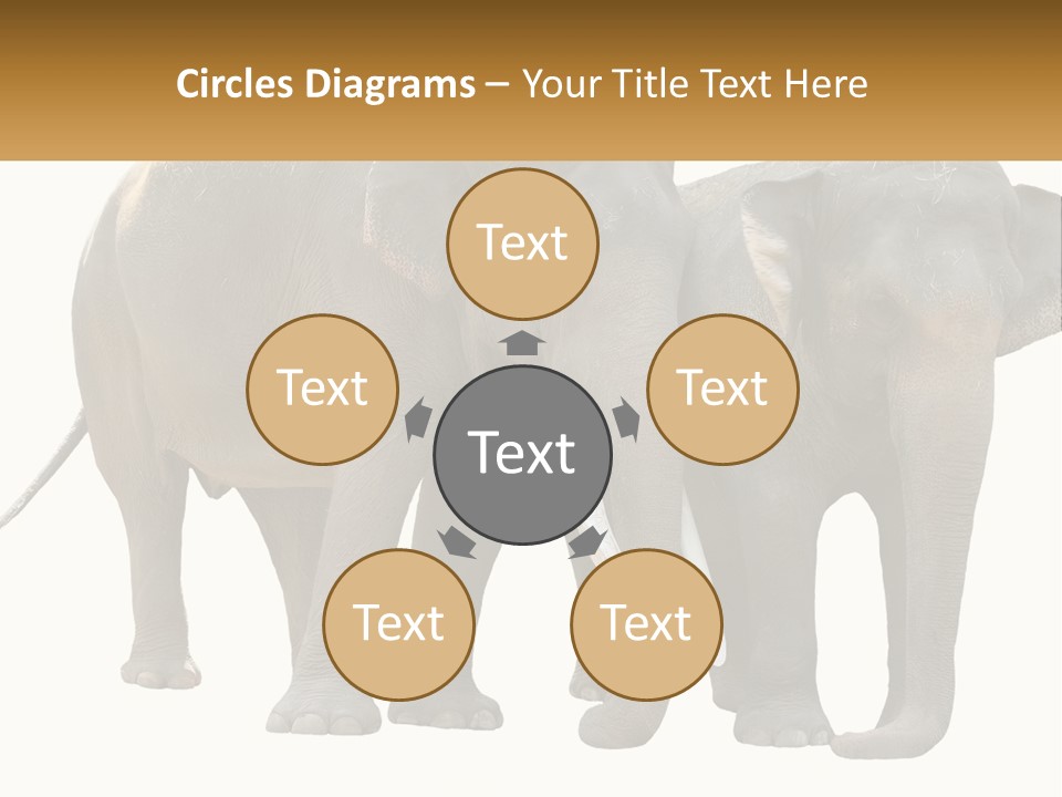 Daughter Elderly Wellness PowerPoint Template