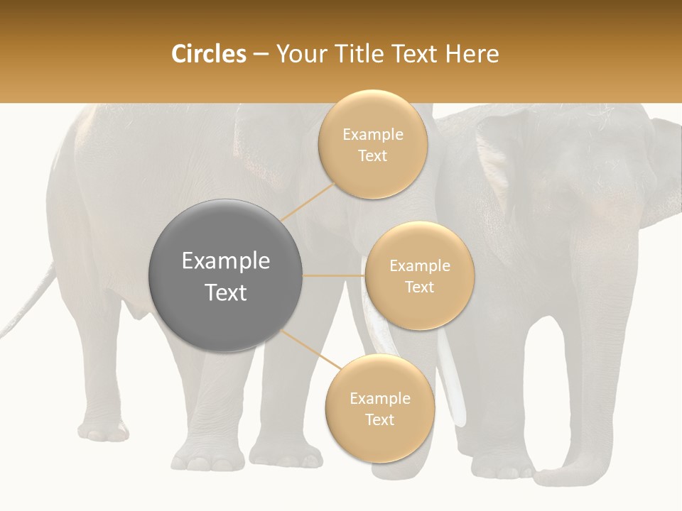 Daughter Elderly Wellness PowerPoint Template