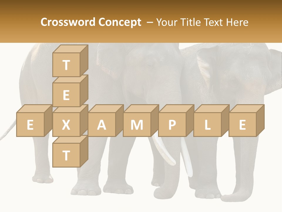 Daughter Elderly Wellness PowerPoint Template