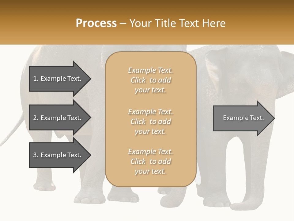 Daughter Elderly Wellness PowerPoint Template