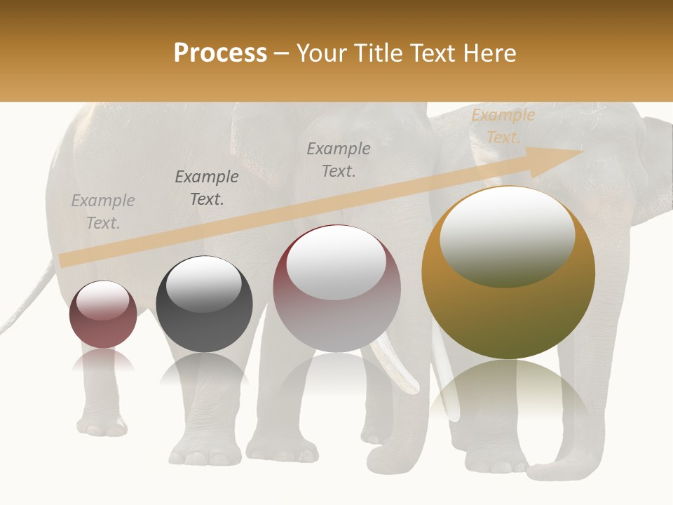 Daughter Elderly Wellness PowerPoint Template