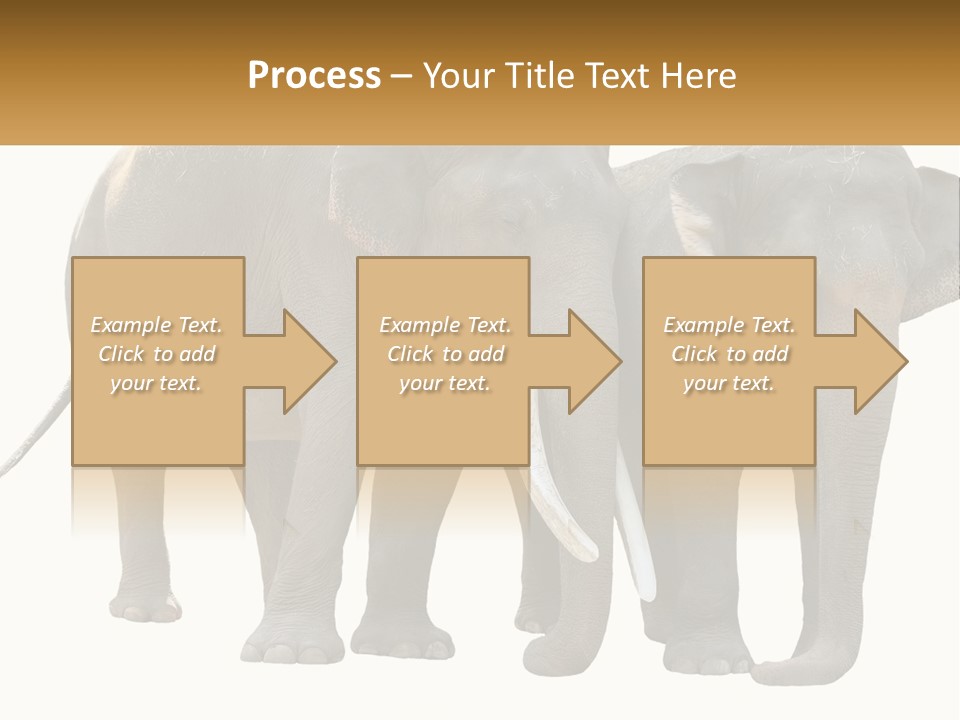 Daughter Elderly Wellness PowerPoint Template