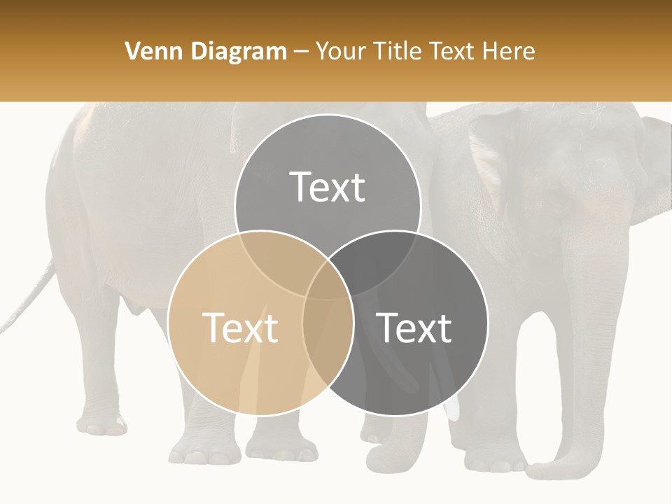 Daughter Elderly Wellness PowerPoint Template