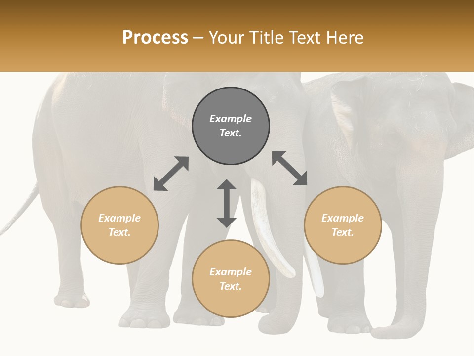 Daughter Elderly Wellness PowerPoint Template