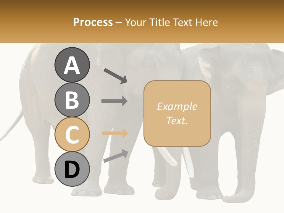 Daughter Elderly Wellness PowerPoint Template