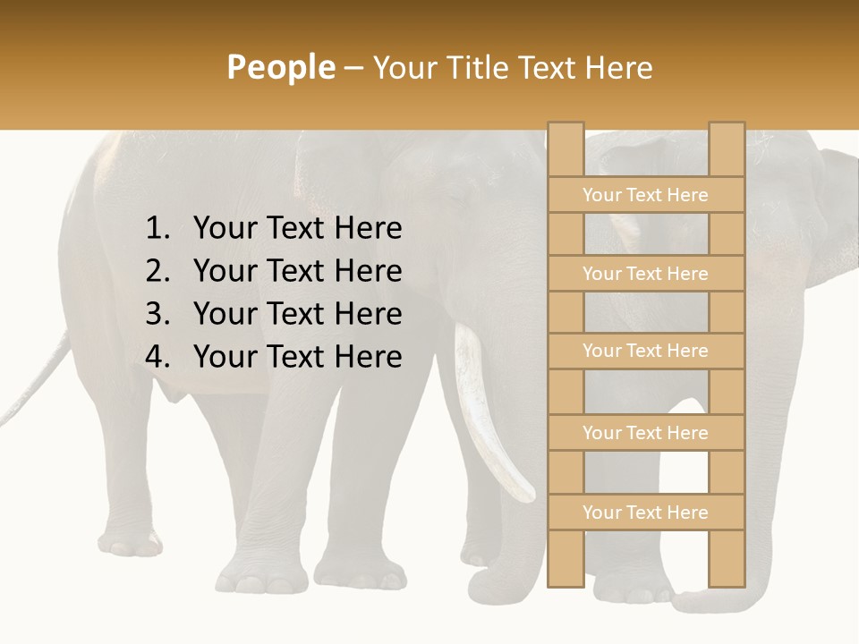 Daughter Elderly Wellness PowerPoint Template