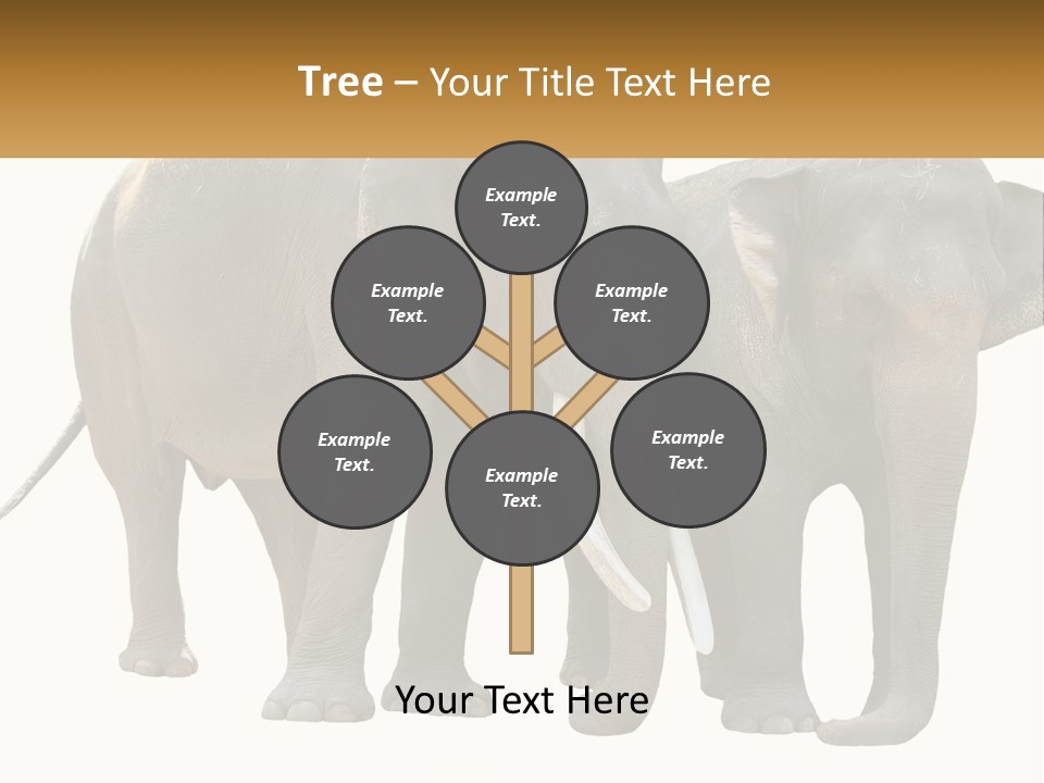 Daughter Elderly Wellness PowerPoint Template