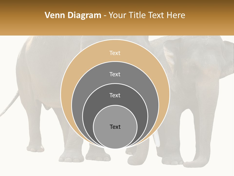 Daughter Elderly Wellness PowerPoint Template