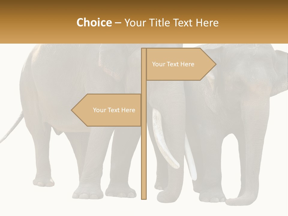 Daughter Elderly Wellness PowerPoint Template