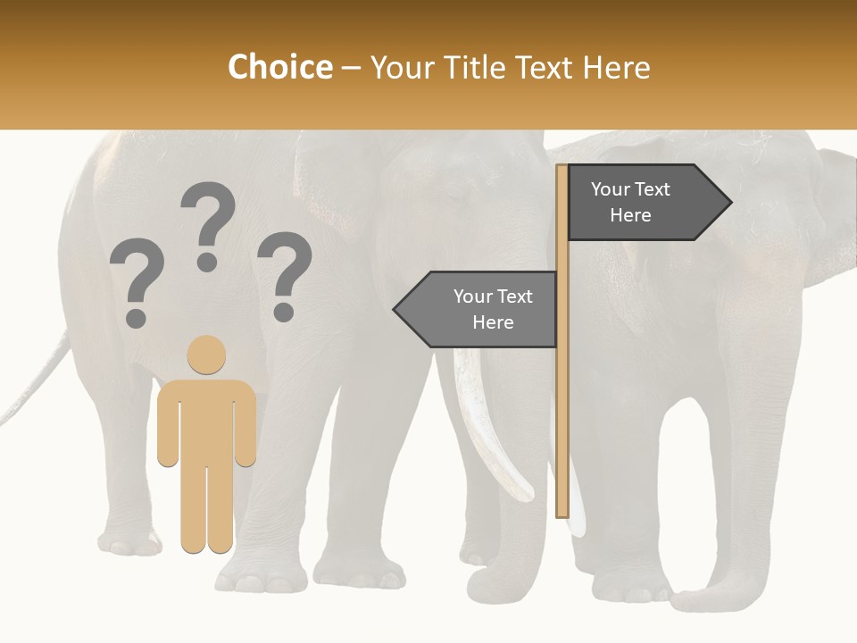 Daughter Elderly Wellness PowerPoint Template