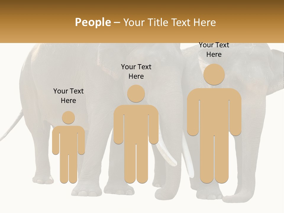 Daughter Elderly Wellness PowerPoint Template