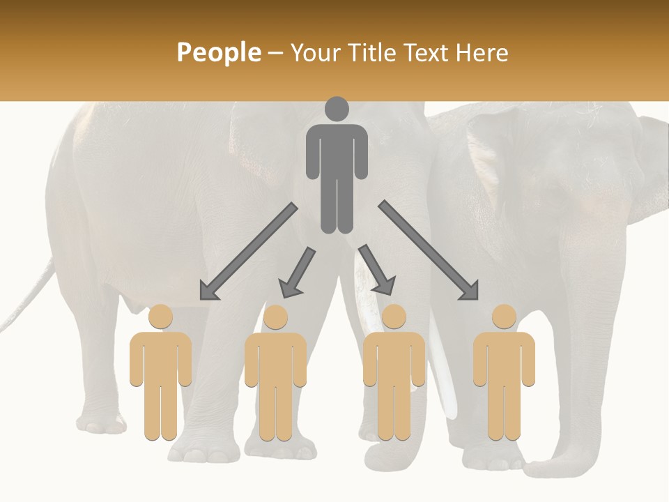 Daughter Elderly Wellness PowerPoint Template