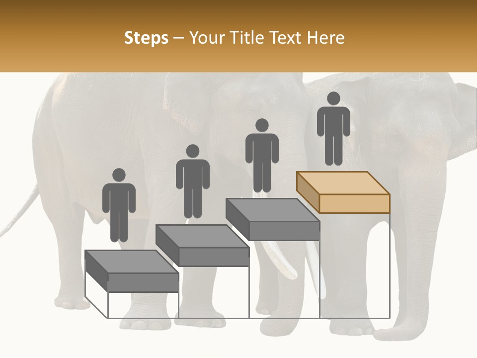 Daughter Elderly Wellness PowerPoint Template