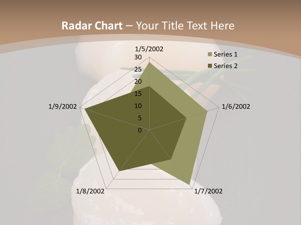 Lifestyle Retirement Pensioner PowerPoint Template